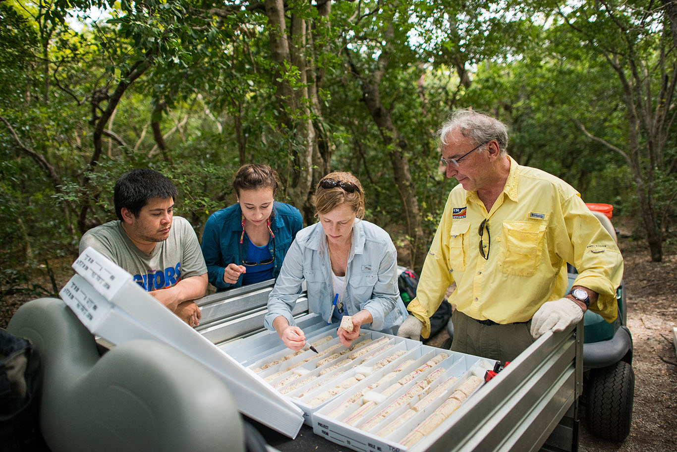 On the left, PhD students Peter Chutcharavan and Karen Vyverberg and on the right, Professor Andrea Dutton and Professor Gregor Eberli from the University of Miami inspect a fresh drill core of the approximately 125,000-year old fossil reef on Lignumvitae Key.