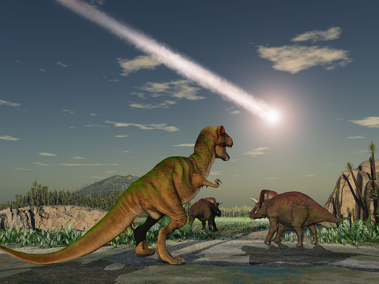 illustration of dinosaurs looking at meteor