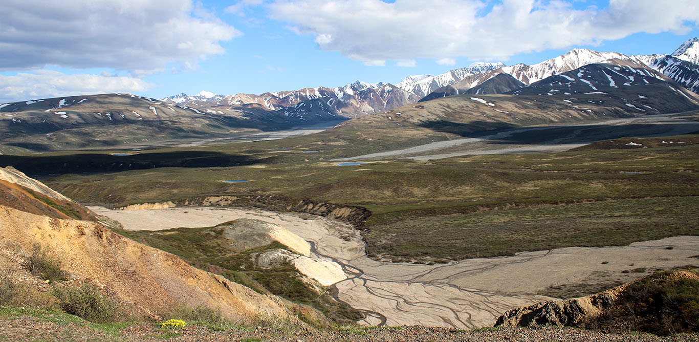 wide view of Alaskan tundra