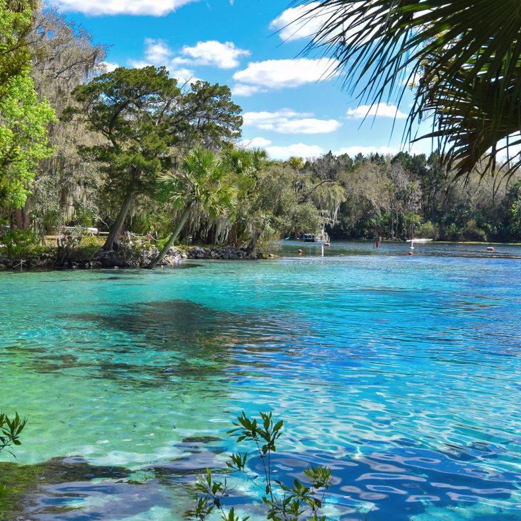 photo of bright blue water of Florida springs