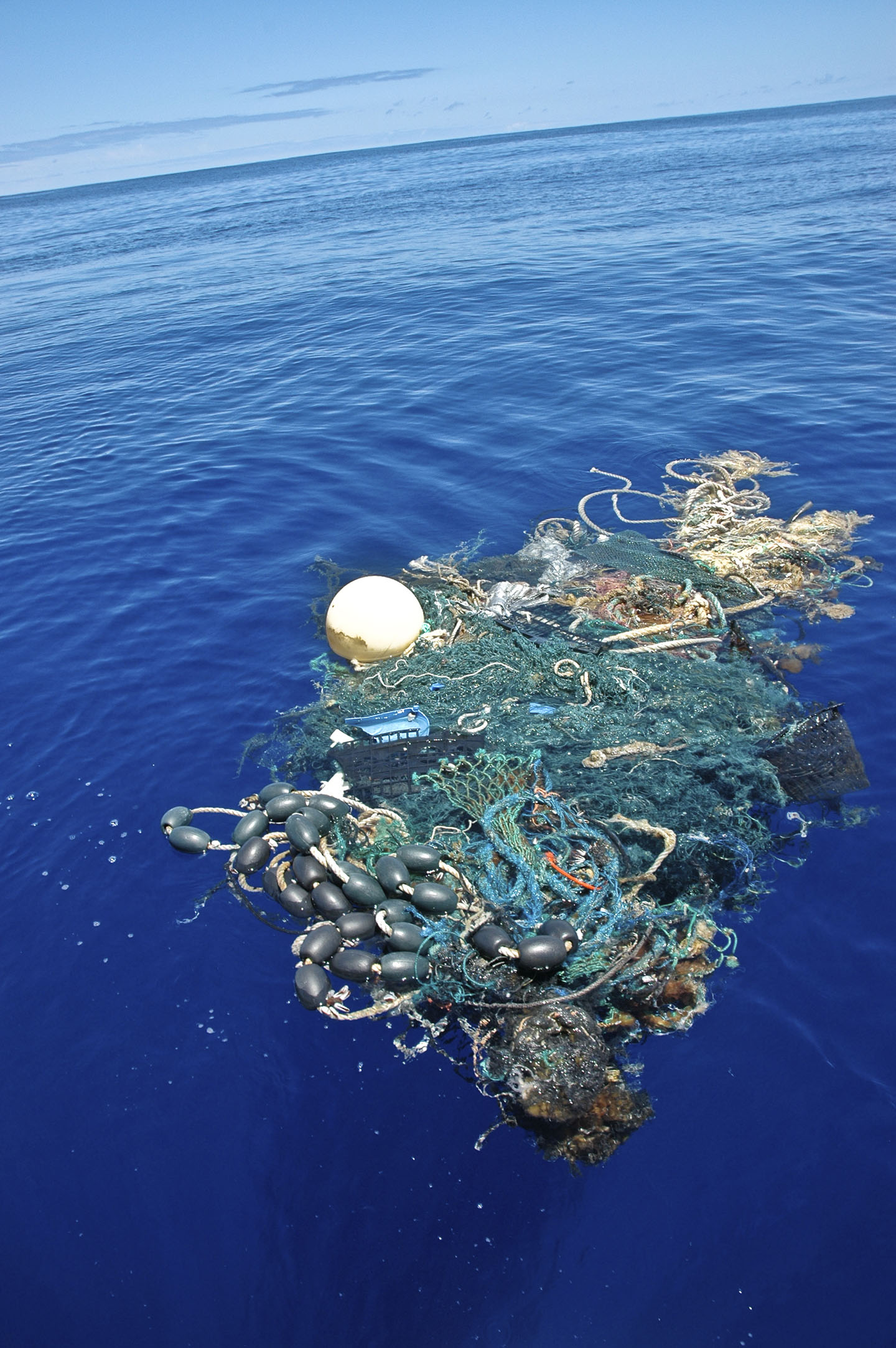 a clump of floating debris in the ocean