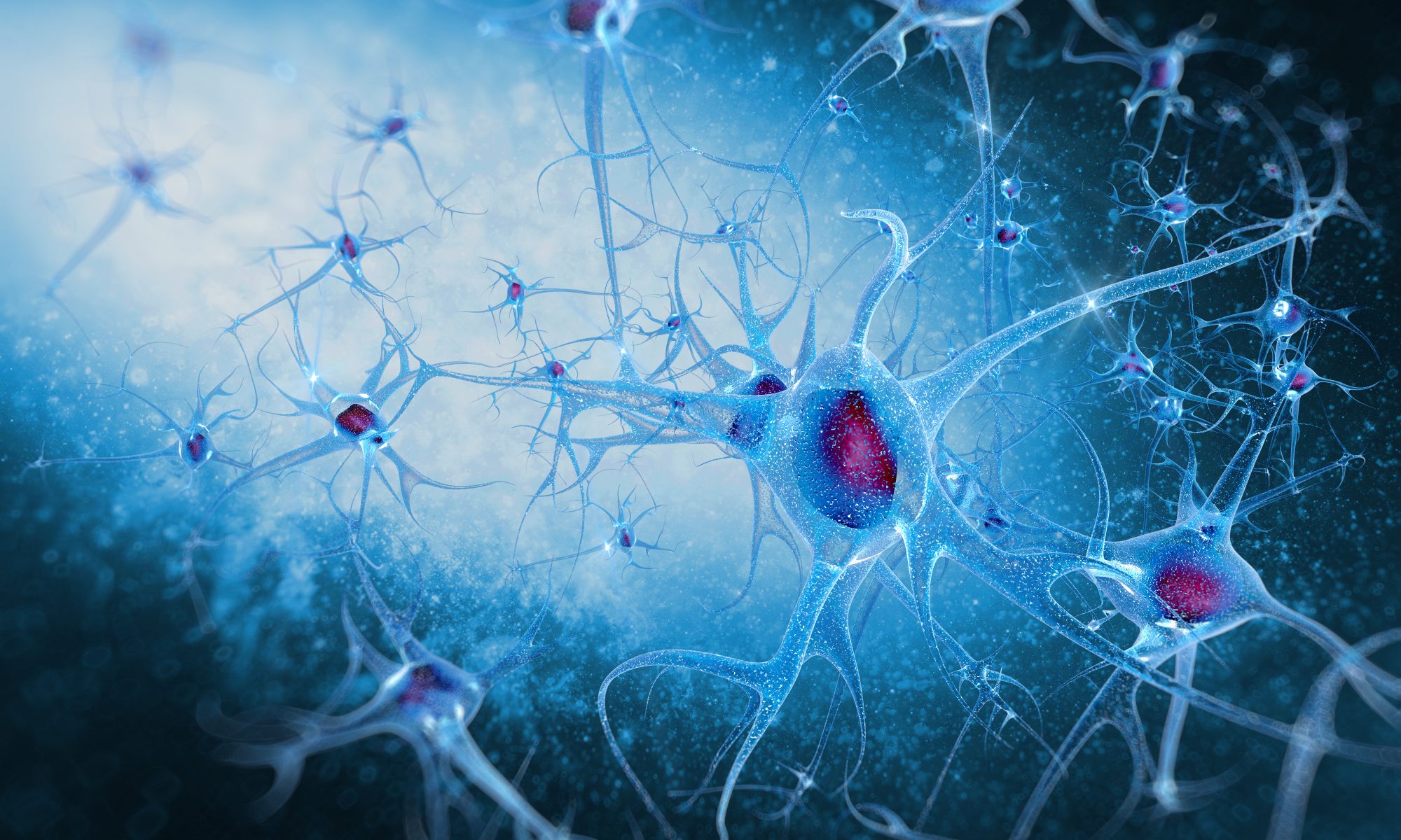 illustration of neurons interacting