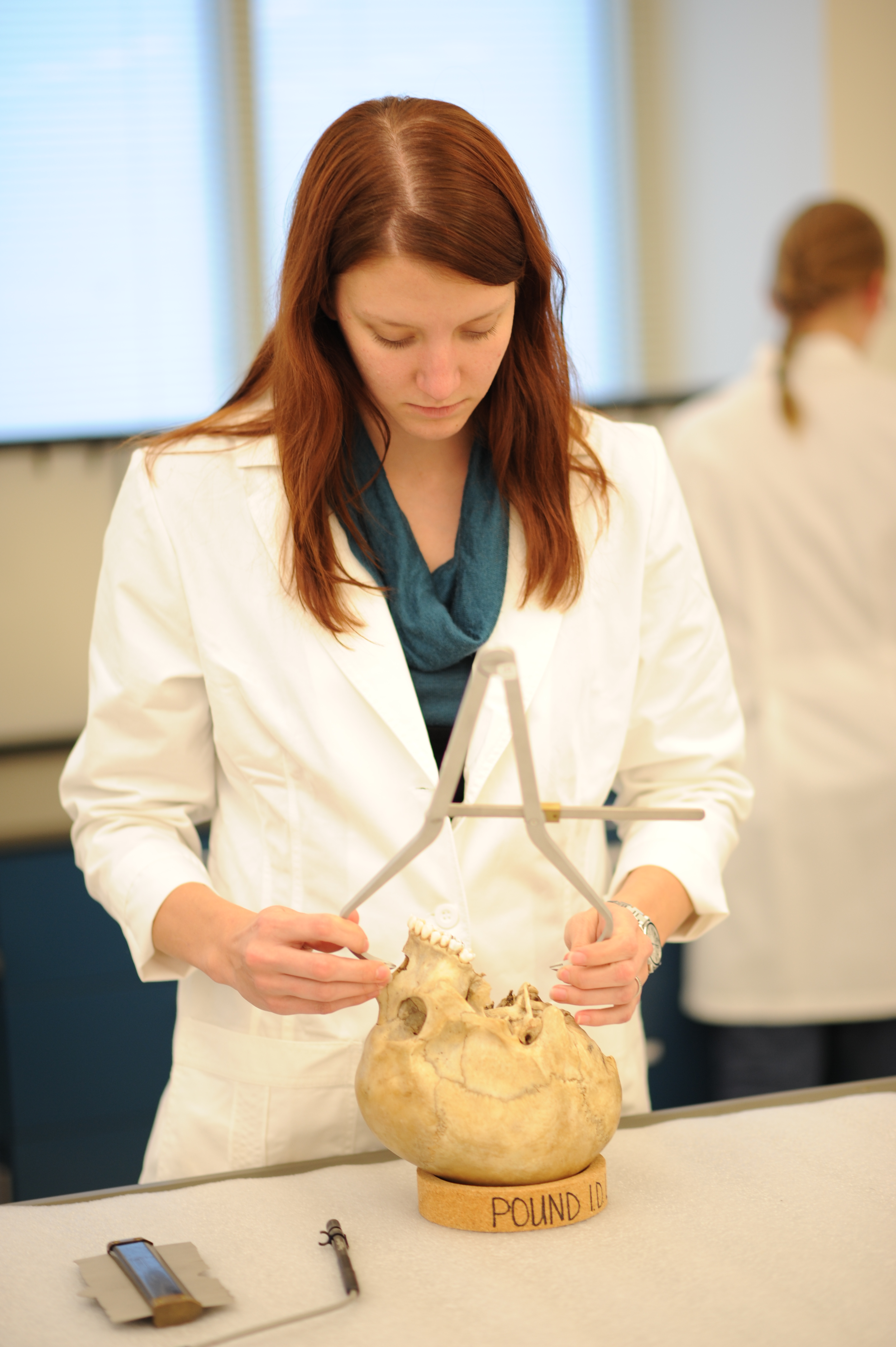 young woman in lab coat using tool to measure human skull