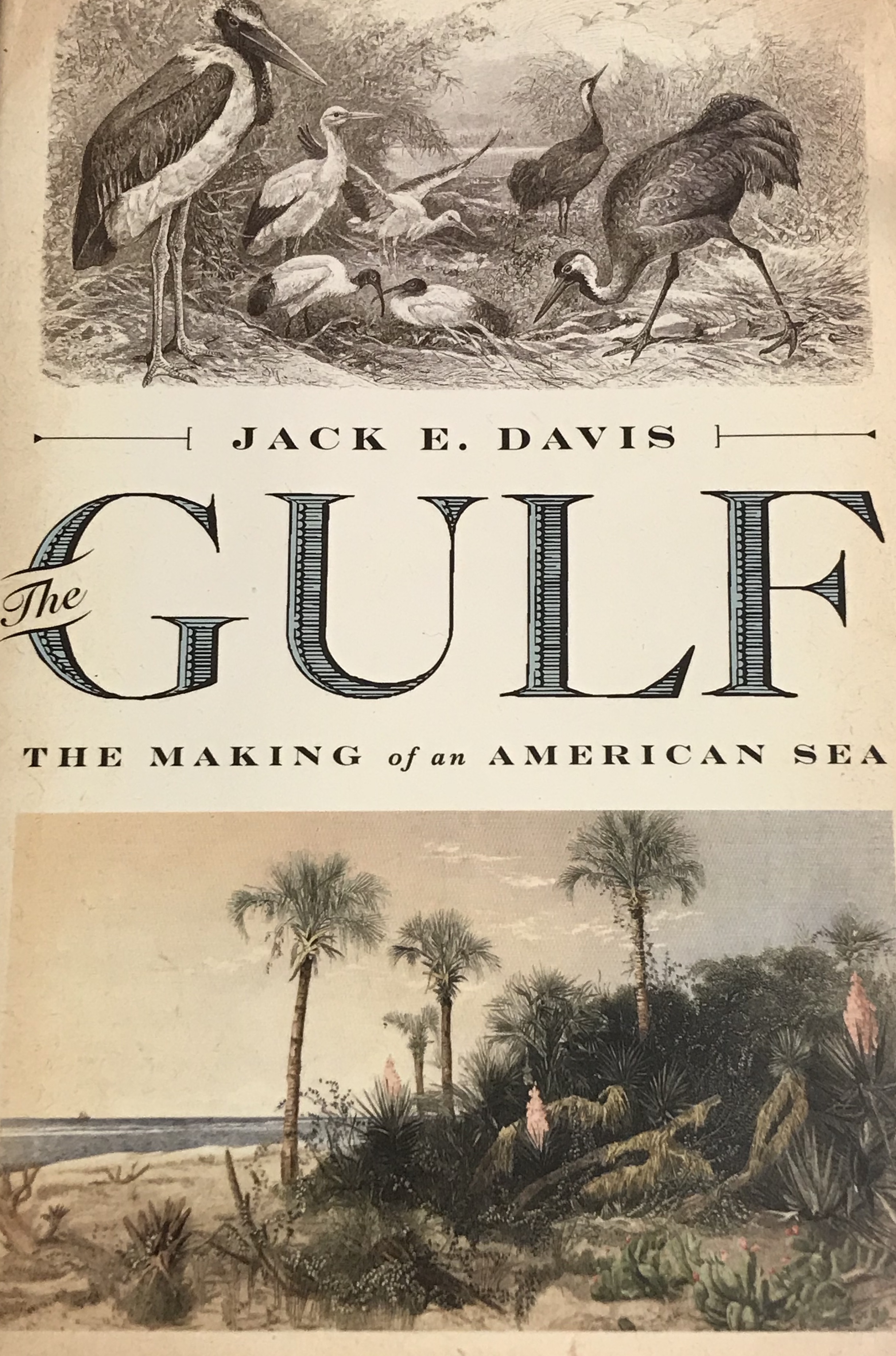 book cover for The Gulf