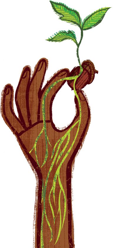 illustration of hand made to look wooden, holding sapling between fingers