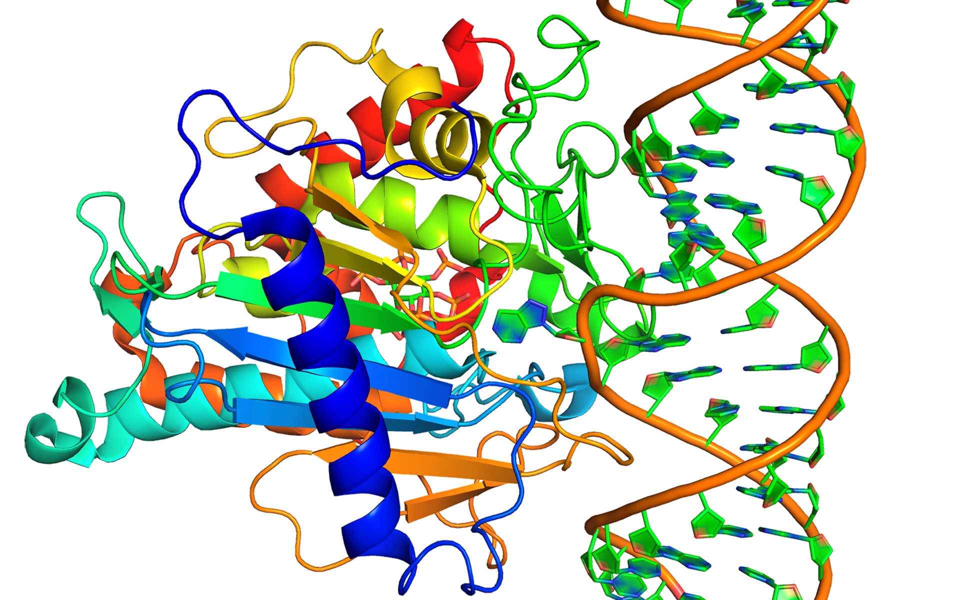 The crystal structure of human ADAR, where dysregulation by Zika may lead to neurological damage