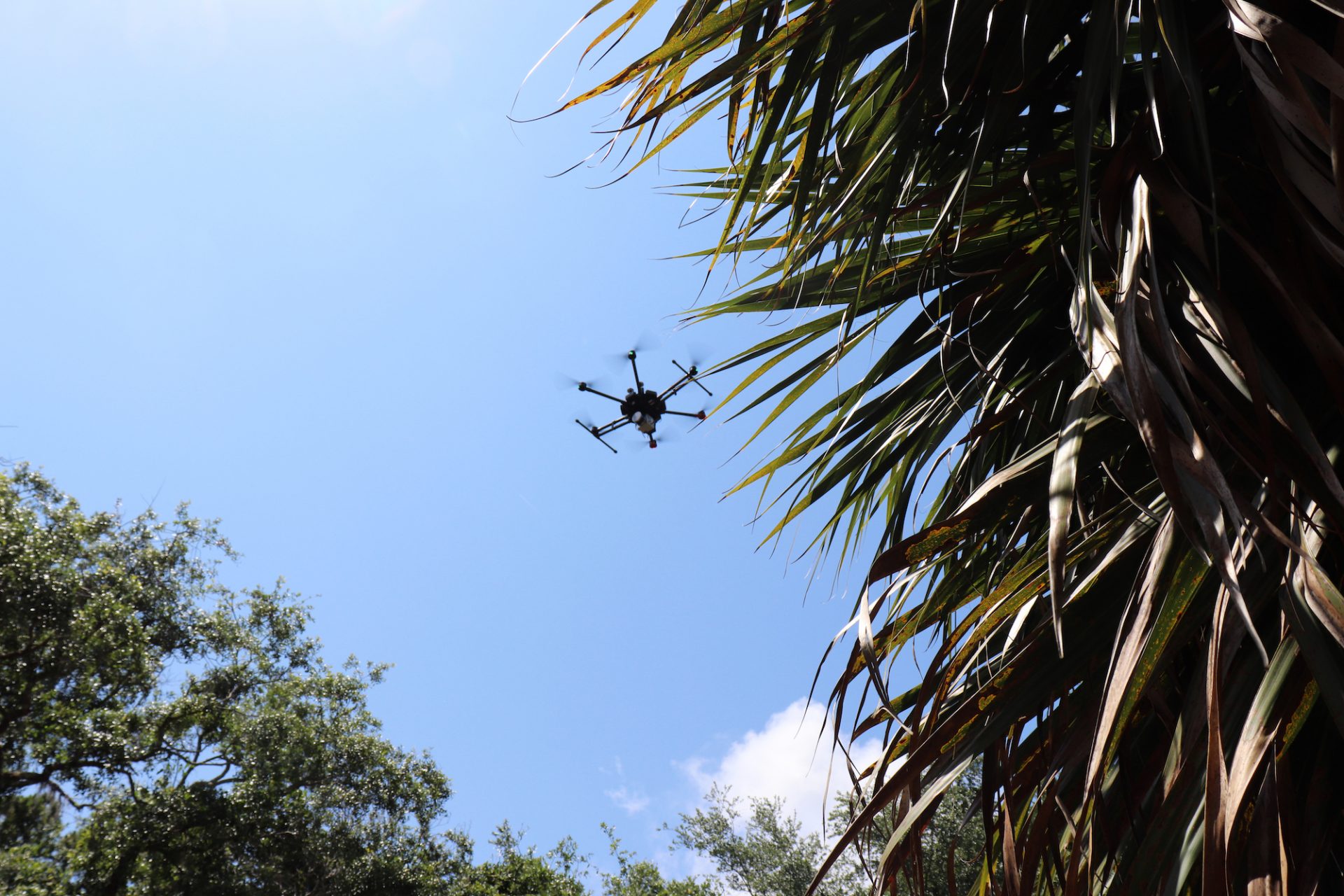 Drone Flying Over Raleigh Island Settlement