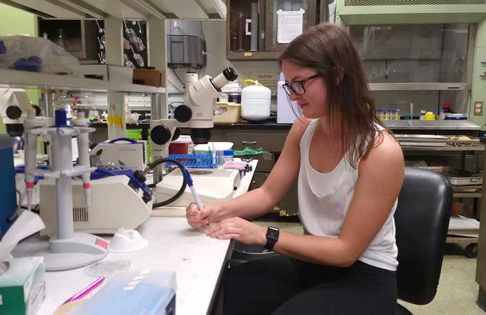 Undergraduate student Erin Walsh labeling agar culture plates