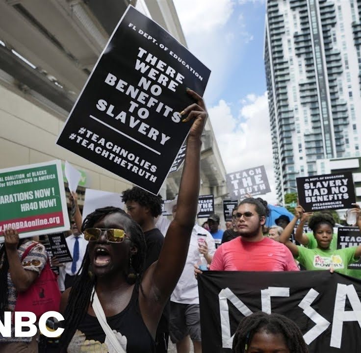 Protestors organize to oppose introducing lies about slavery into school curriculums.