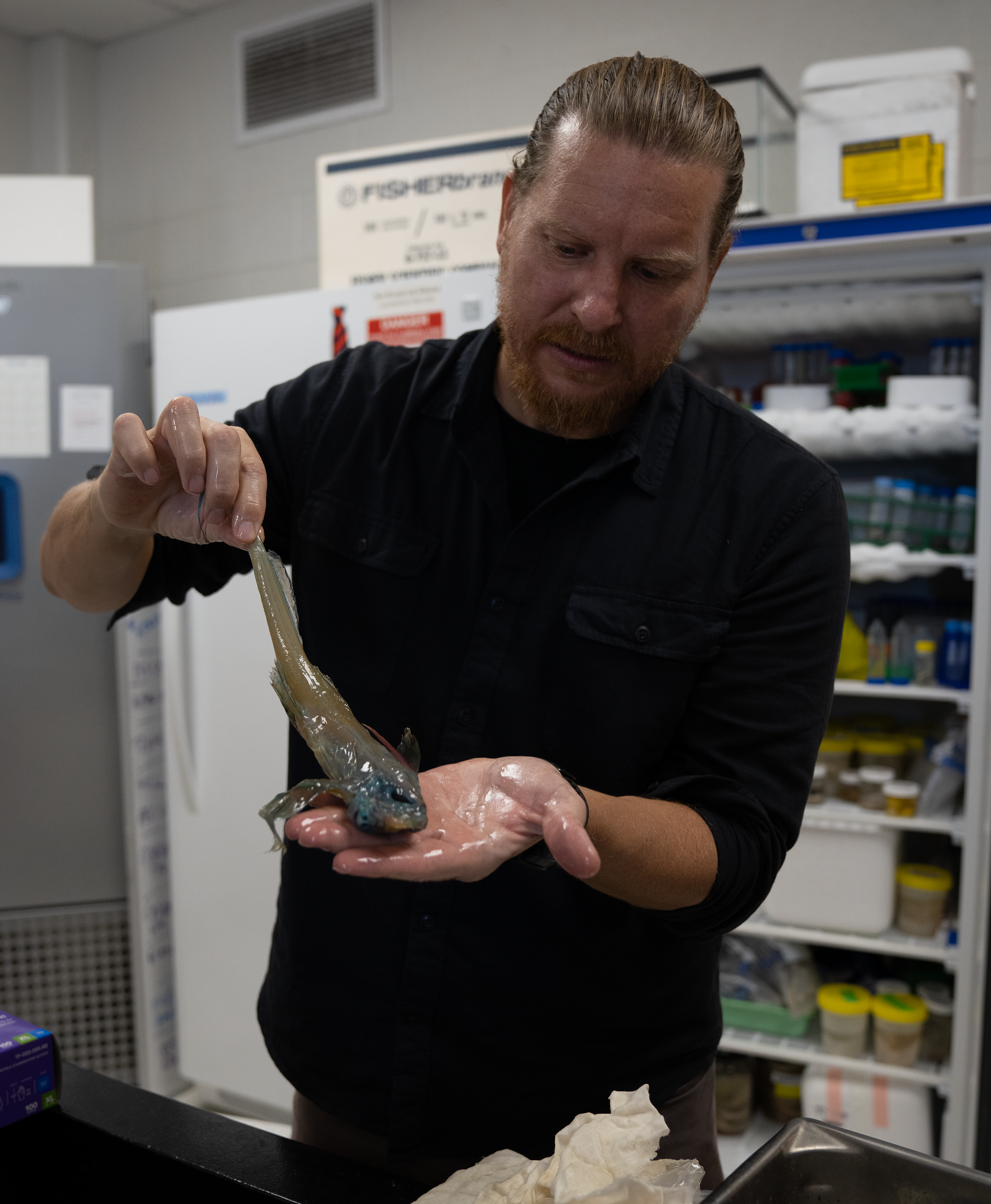Gareth Fraser holds a pale, shriveled ghost shark specimen in his lab. 