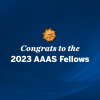 Five college faculty elected AAAS fellows