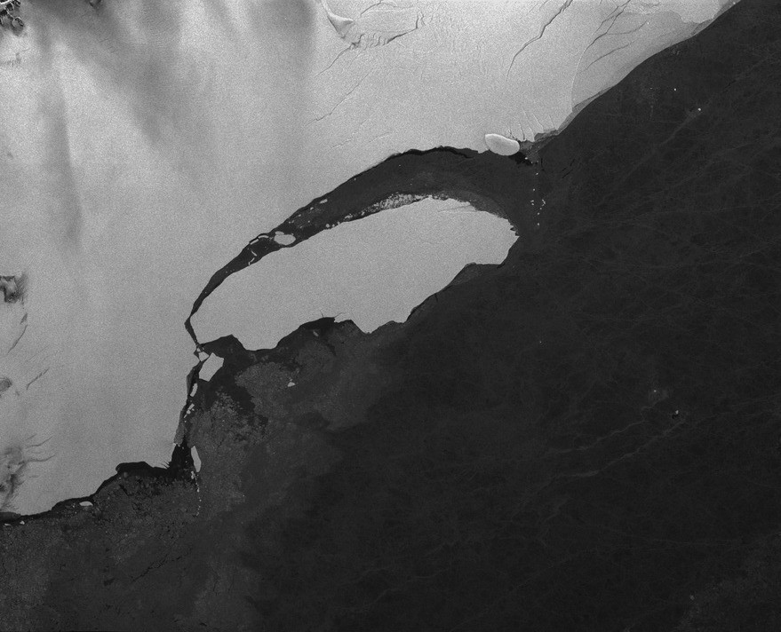 Gray and white aerial photo of an ice shelf undergoing a fracturing event.