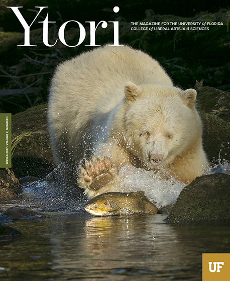 Ytori Spring 2017 Cover