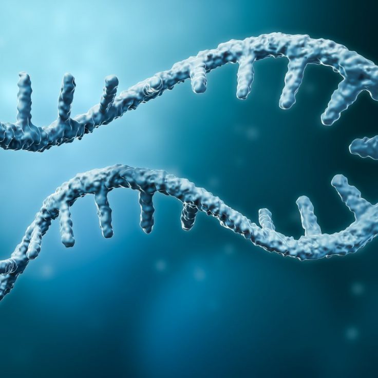 rna sequence illustration
